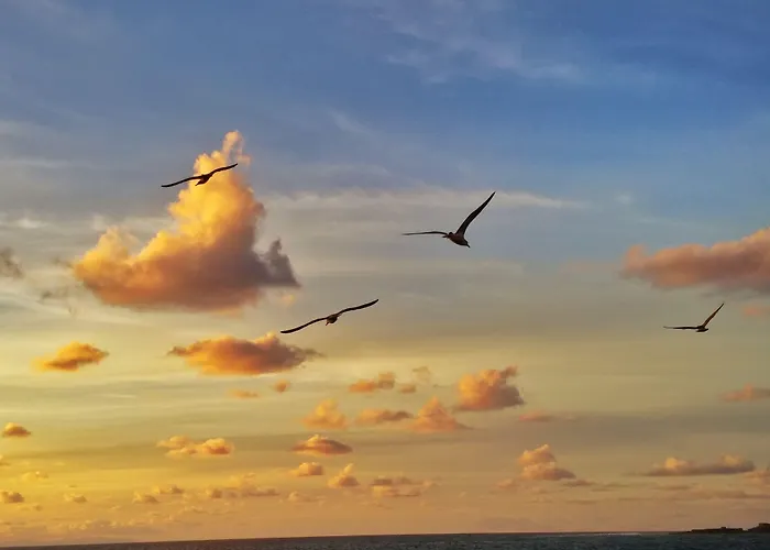 Brisamar Canteras Apartahotel Las Palmas de Gran Canaria