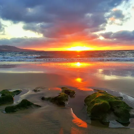 Brisamar Canteras 2* لاس بالماس دي غران كاناريا