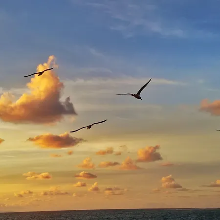 Brisamar Canteras شقة فندقية لاس بالماس دي غران كاناريا