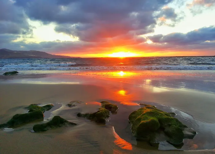 Brisamar Canteras 2* 라스팔마스