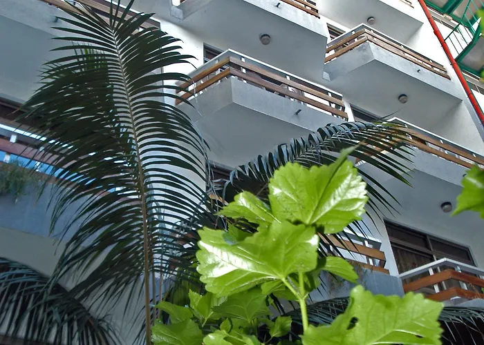 Brisamar Canteras 2*